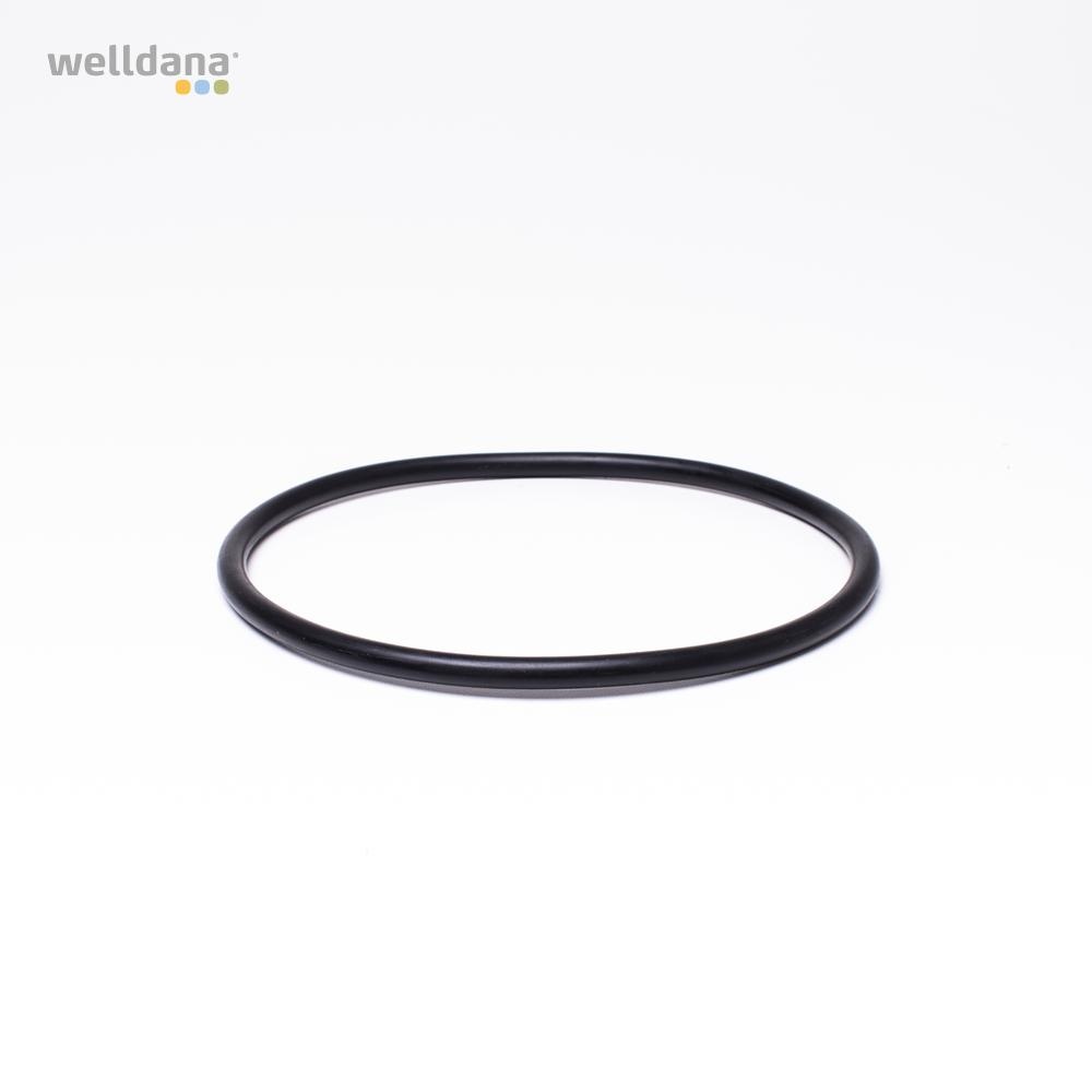 O-ring til pumpelåg. Ondina