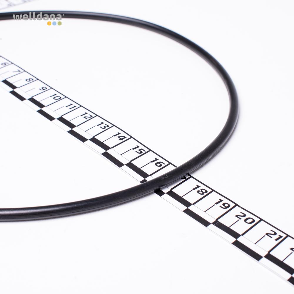 Flange o-ring, Ondina - Image 2