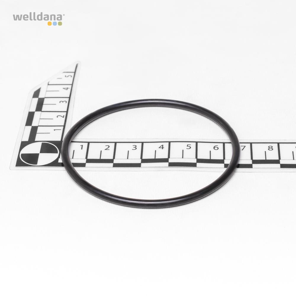 O-ring. IMage® Pool Heater Klemkasse / element. - Image 2