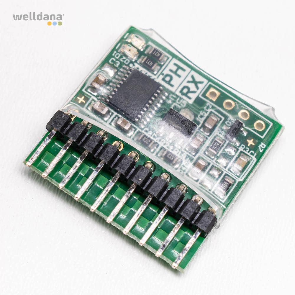 Chip PH/RX KLX - Image 3