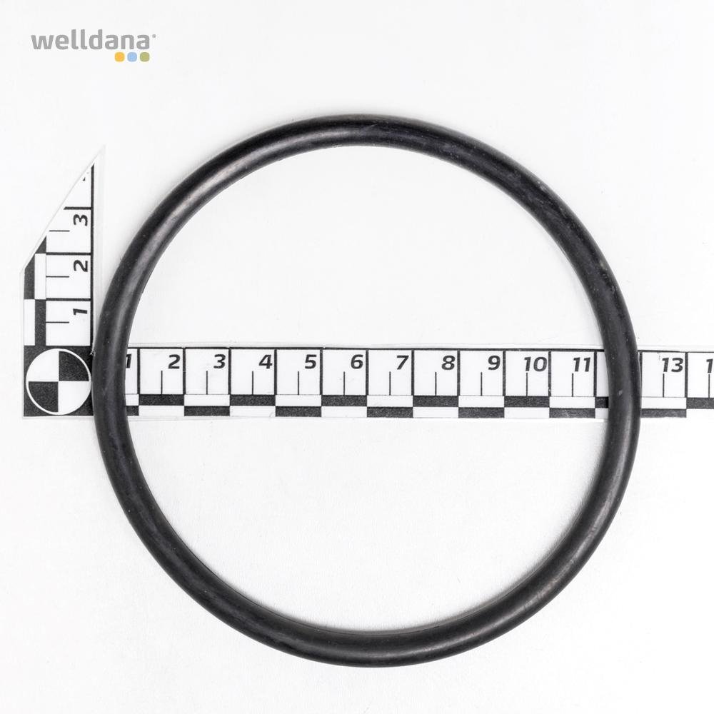 O-ring til pumpehus PowerFlo II/Starpump - Image 2