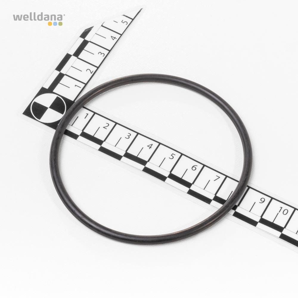 O-Ring til Difusor f. InverPro pumpe - Image 2