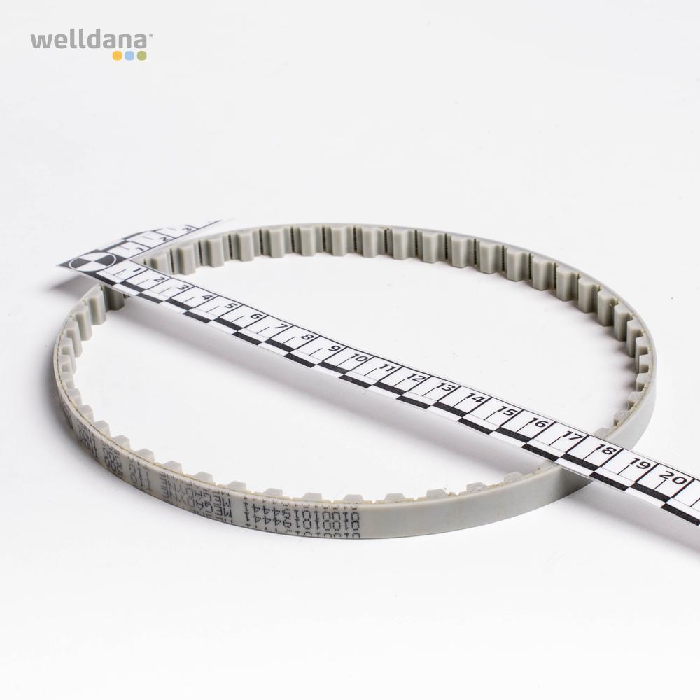 Drivbælte, T10-500 Prox7(05-22) - Image 2
