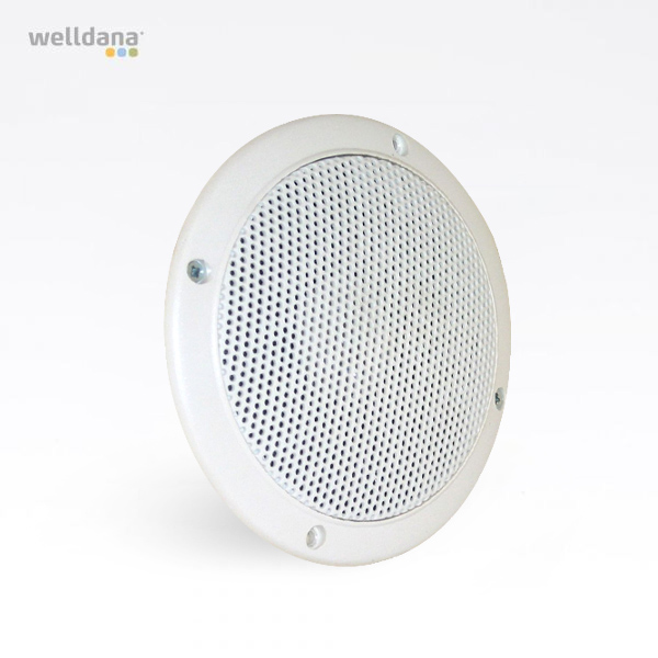 Badstuehøyttaler, 80 W, 16 cm