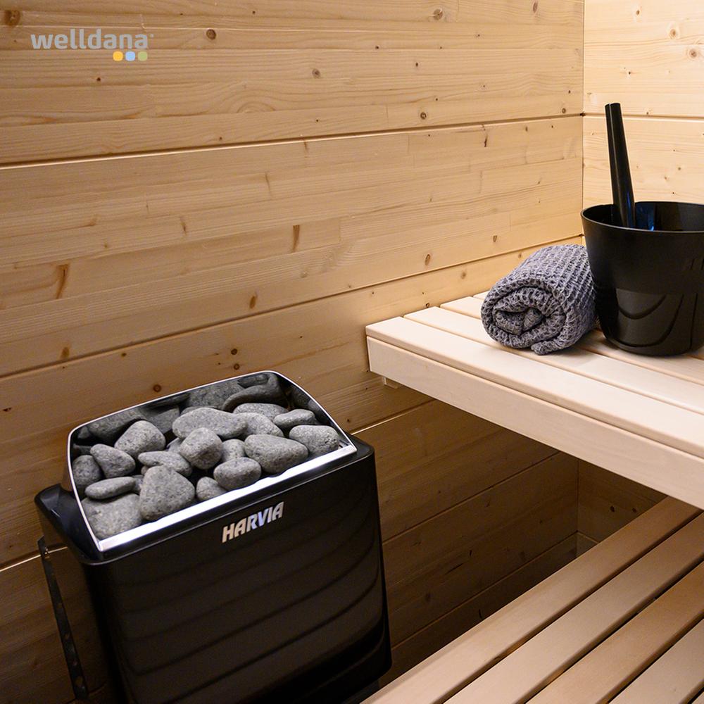 Saunaovn Welldana®-S, m/styrin - Image 3